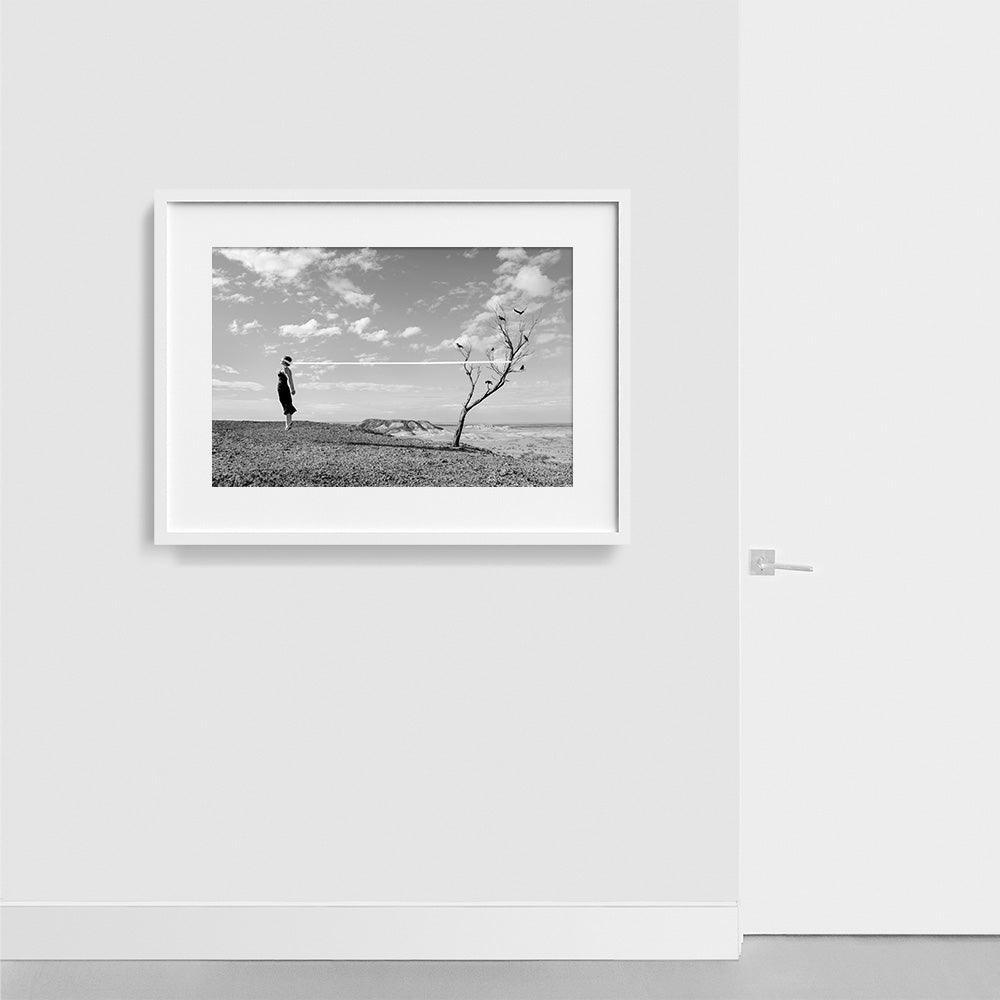 Birds , Photograph by Birds Tappan