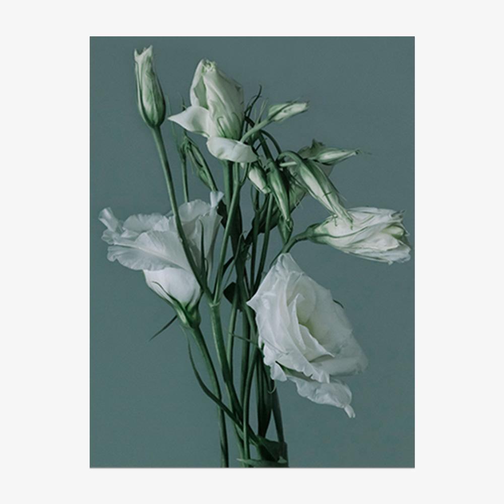 Photograph by Katie Burdon