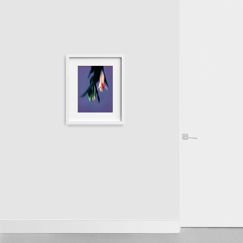 Photograph by Katie Burdon