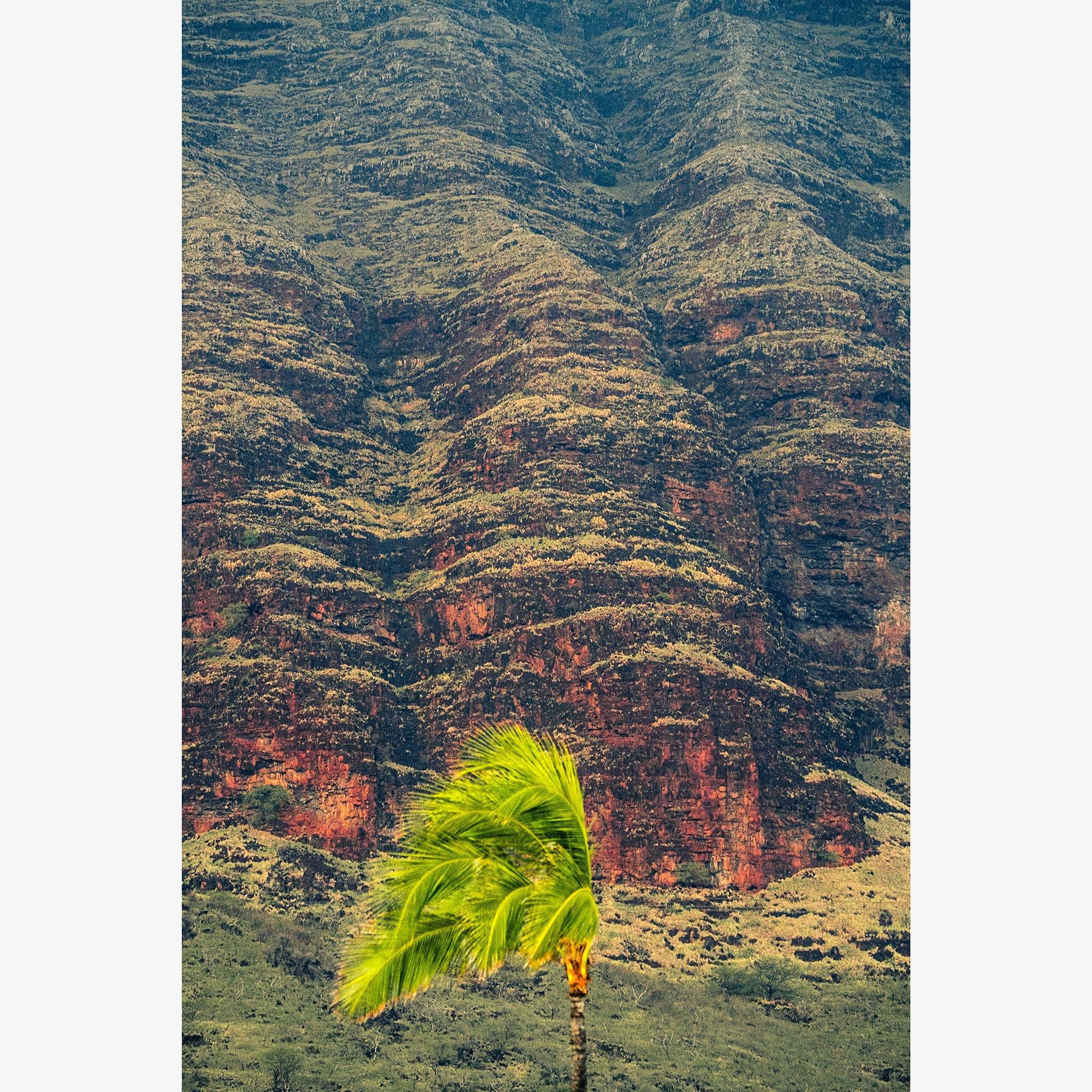 Photograph by Brian Merriam
