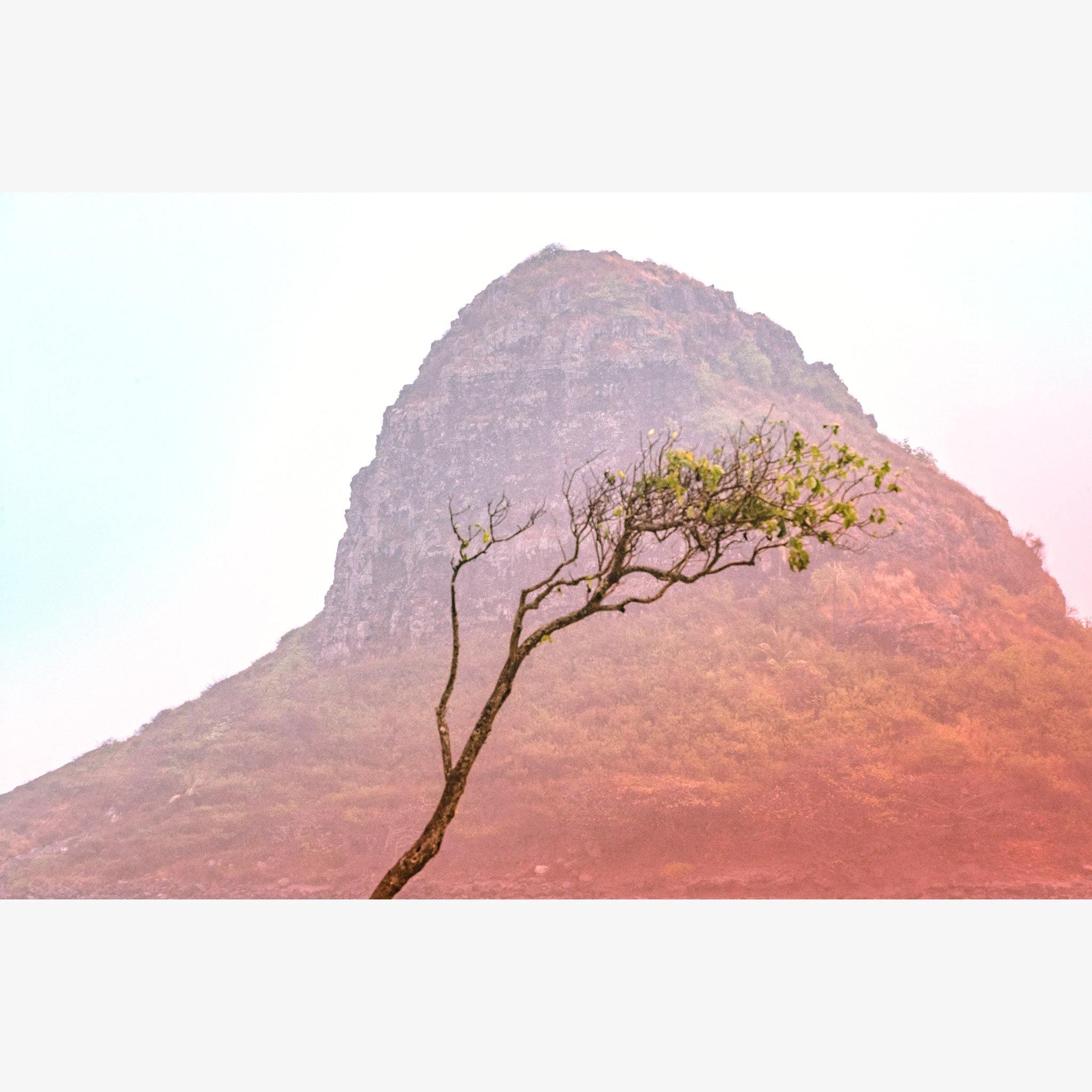Photograph by Brian Merriam