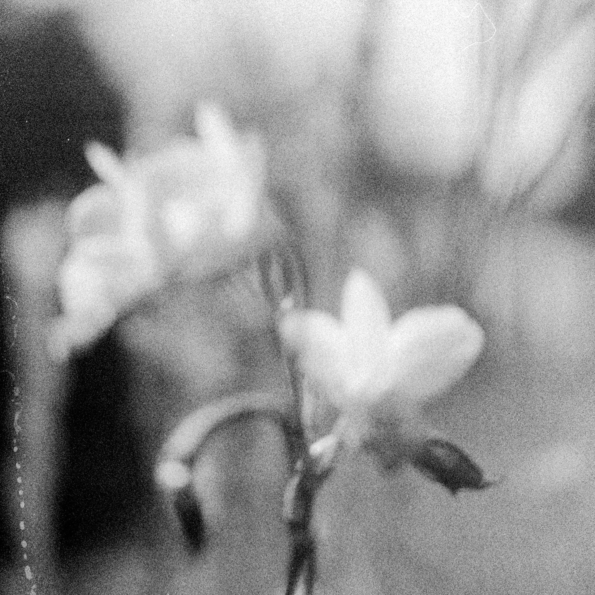 Photograph by Brian Merriam