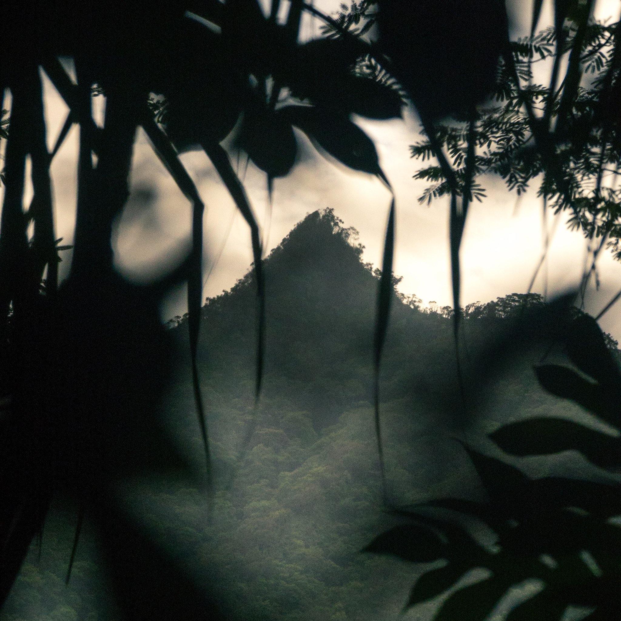 Photograph by Brian Merriam