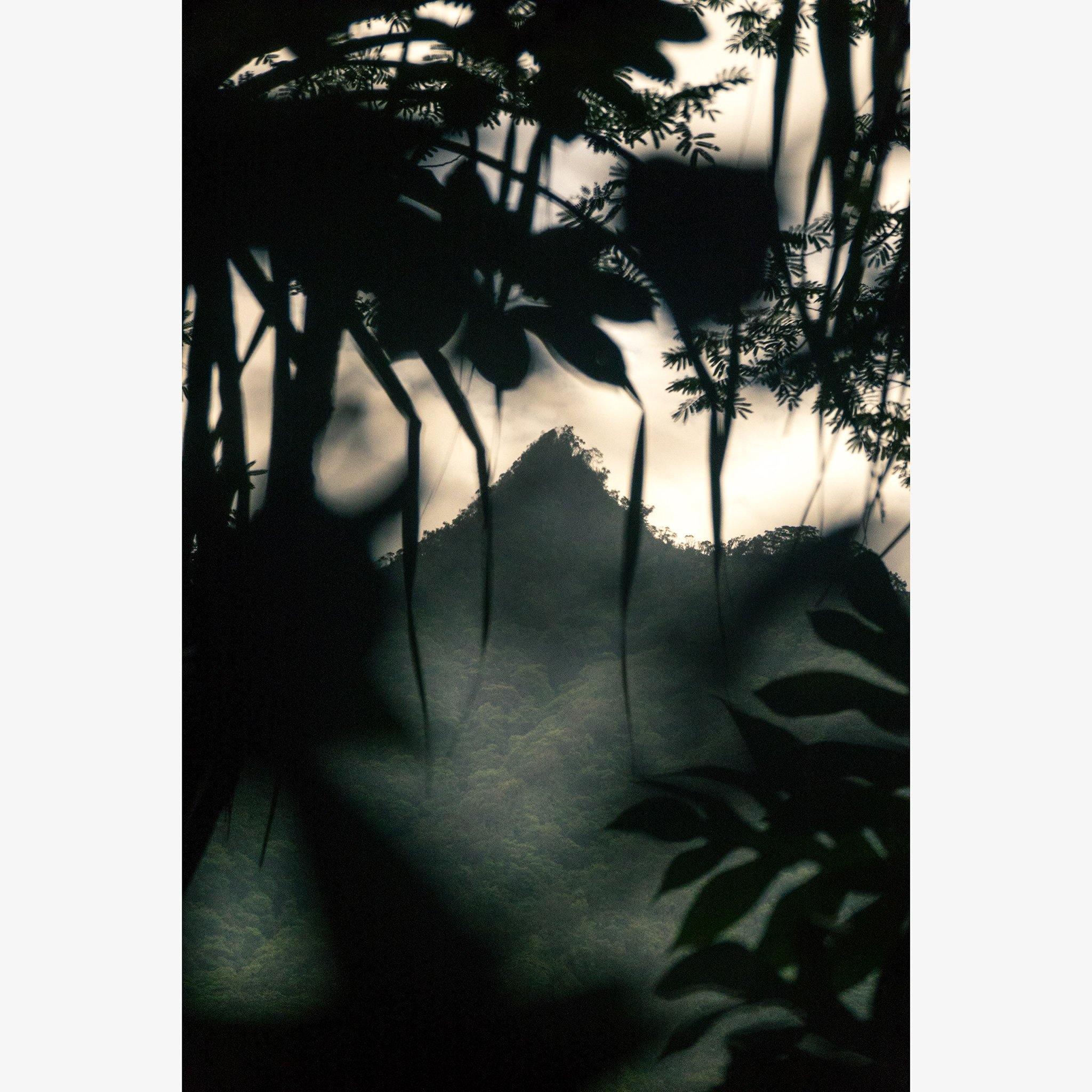 Photograph by Brian Merriam