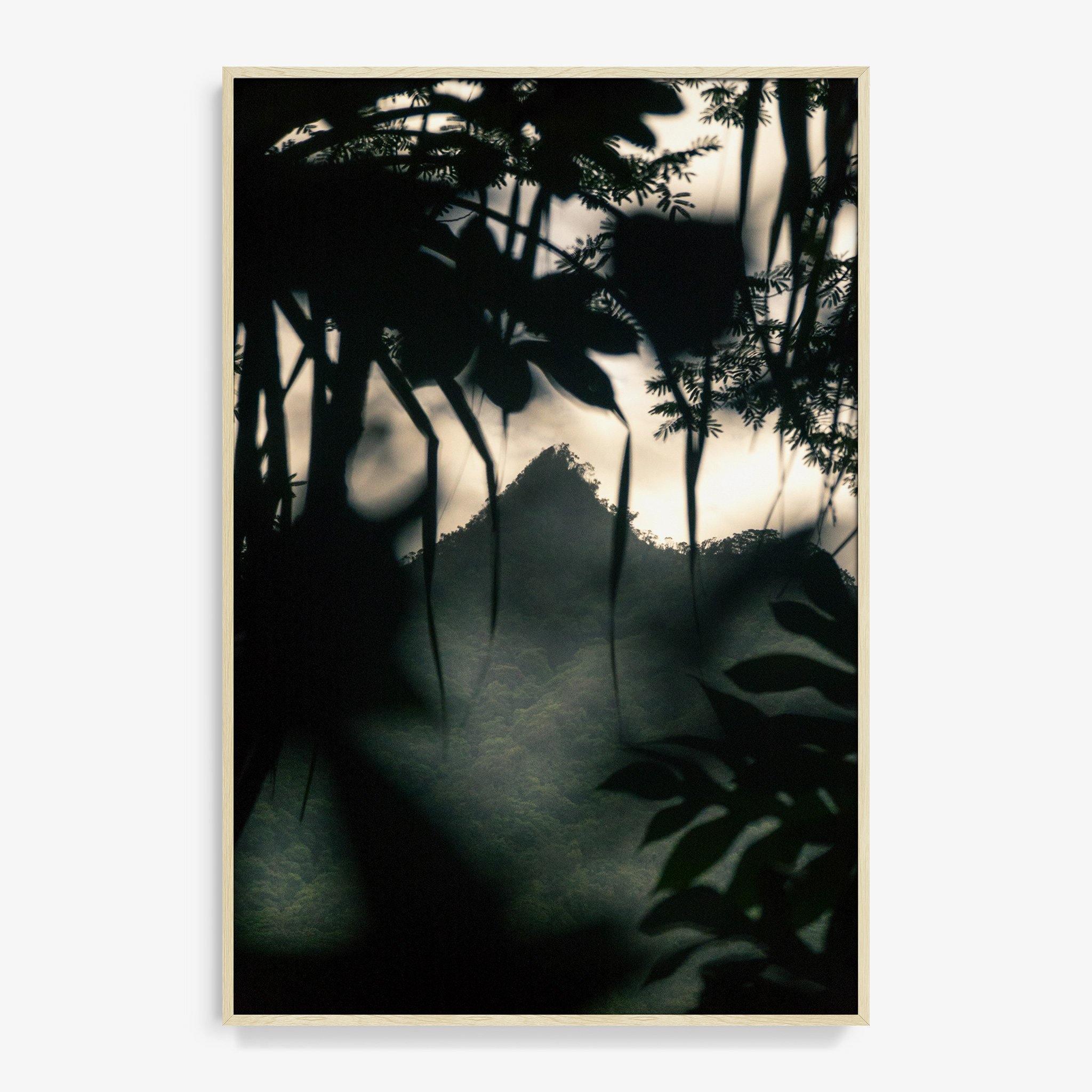 Photograph by Brian Merriam