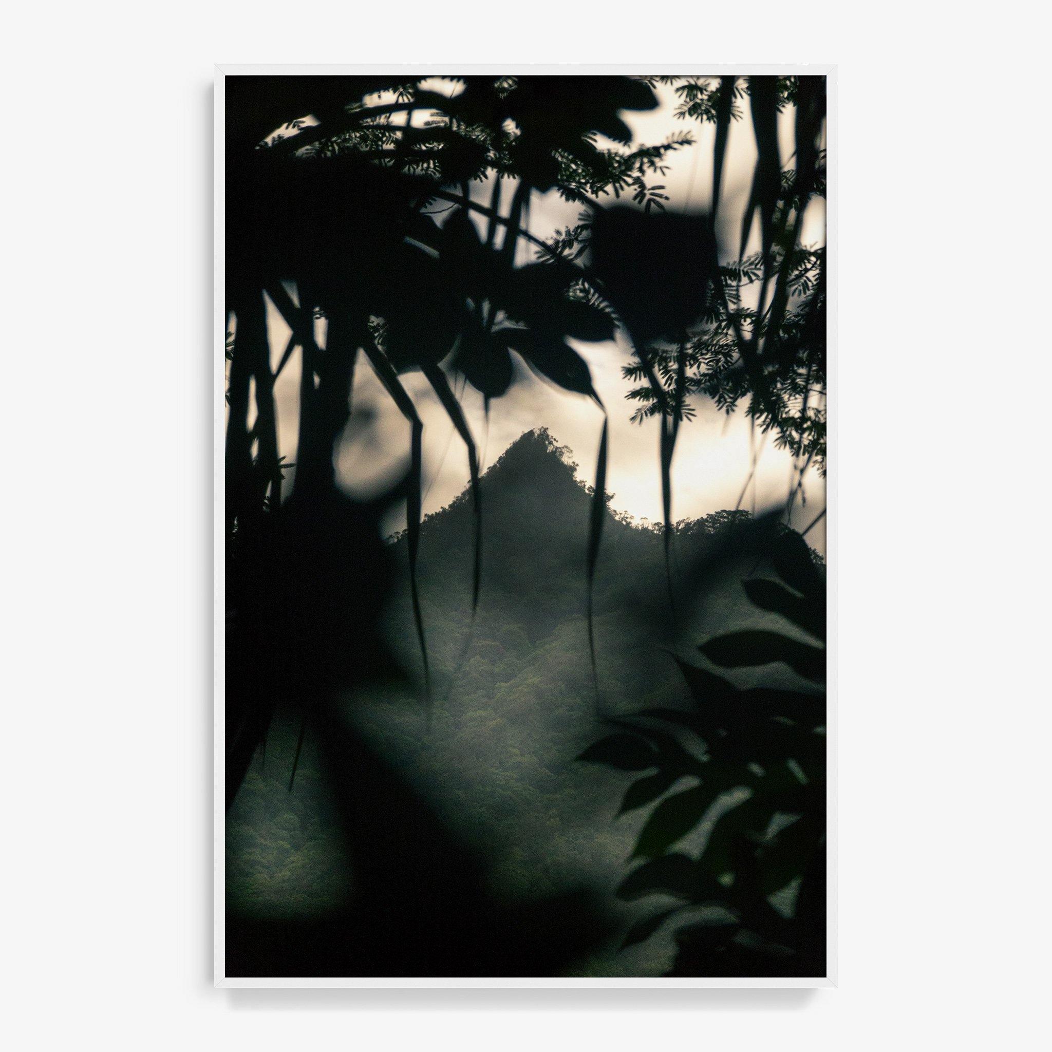 Photograph by Brian Merriam