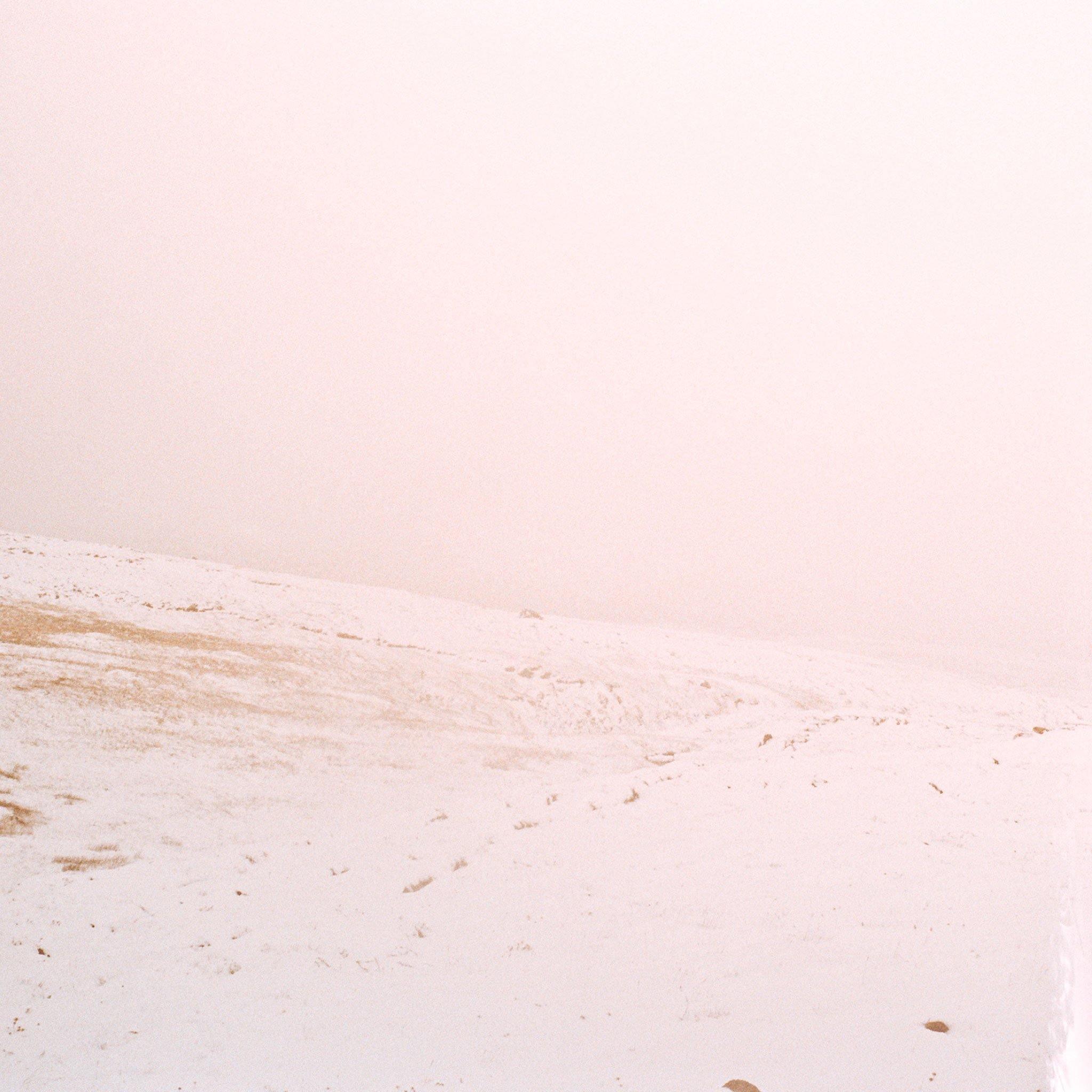 Photograph by Brian Merriam
