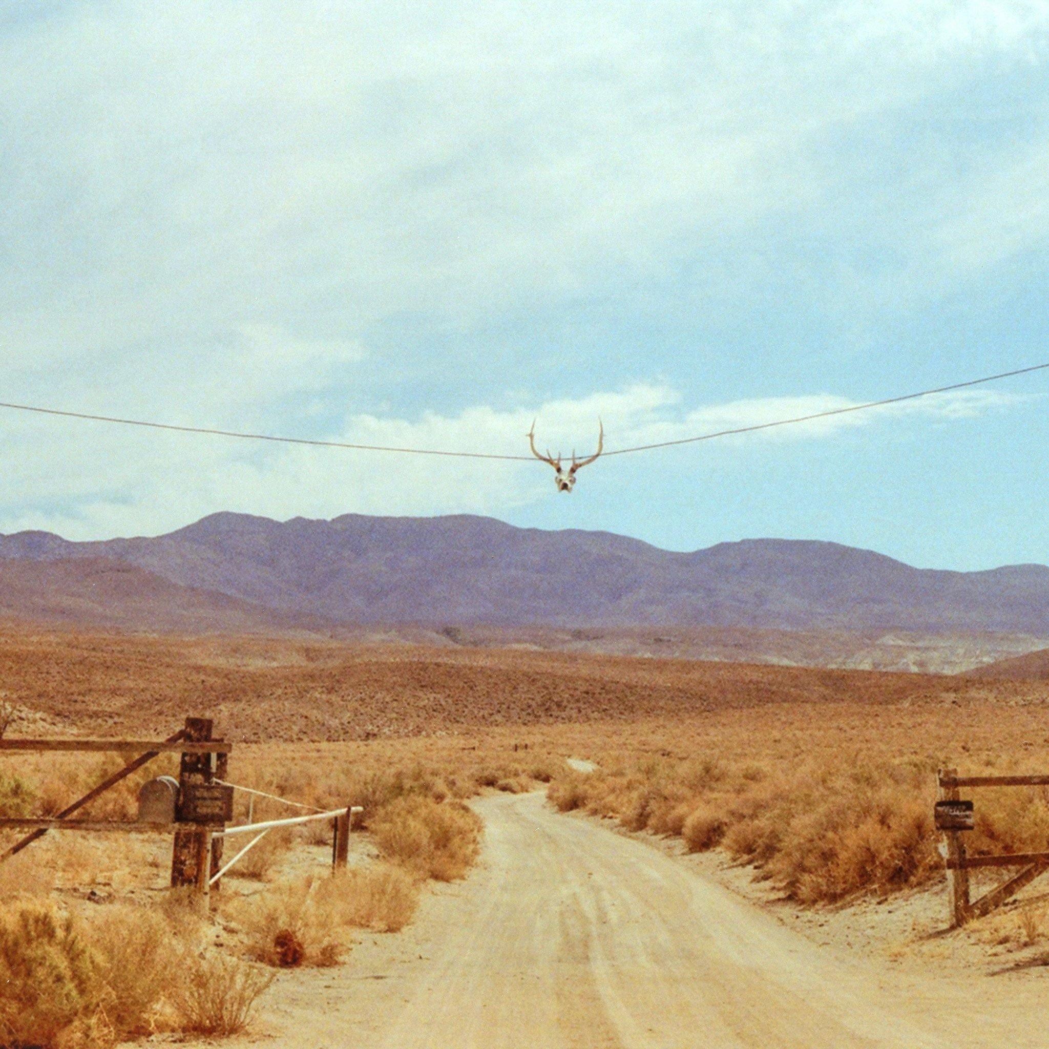 Photograph by Brian Merriam