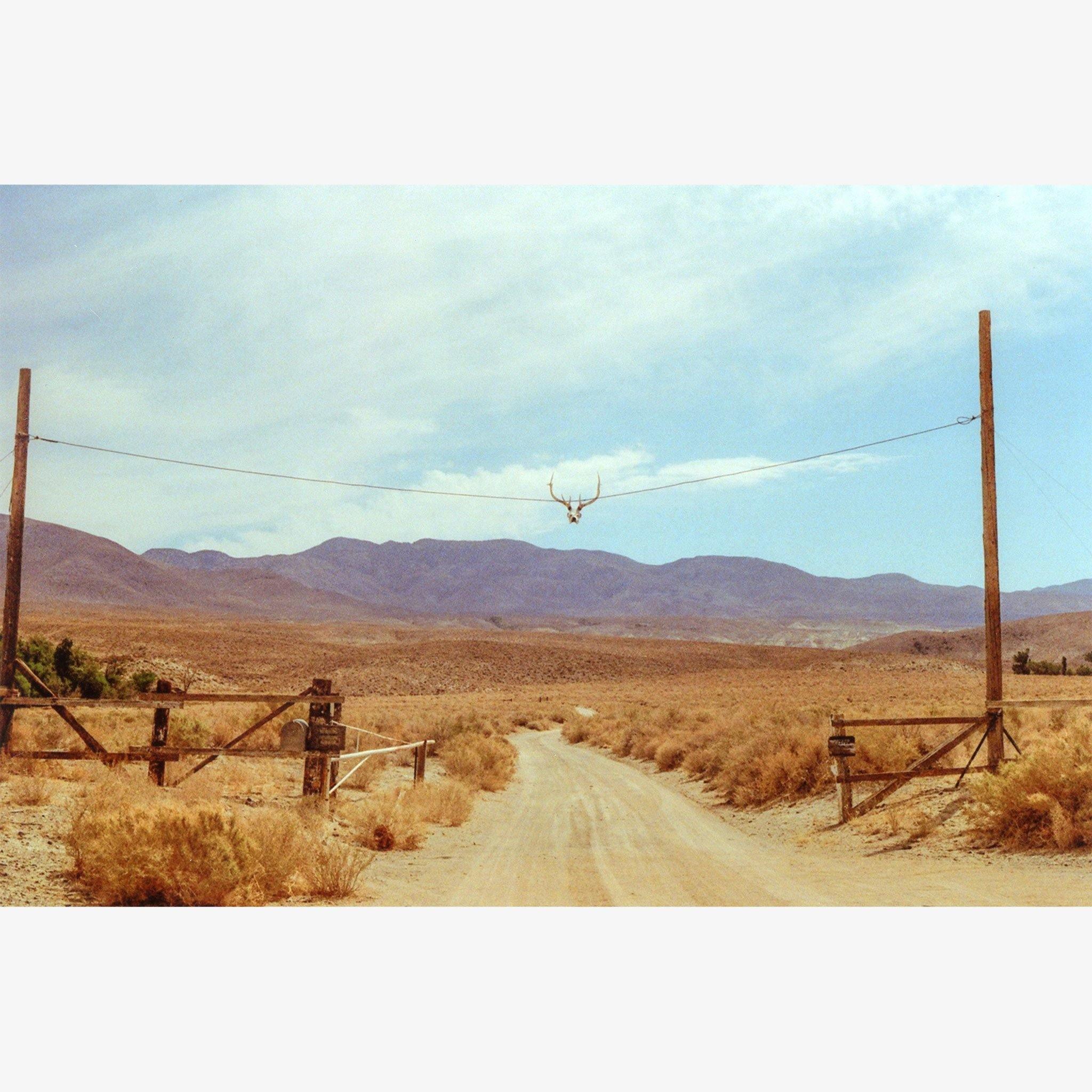 Photograph by Brian Merriam