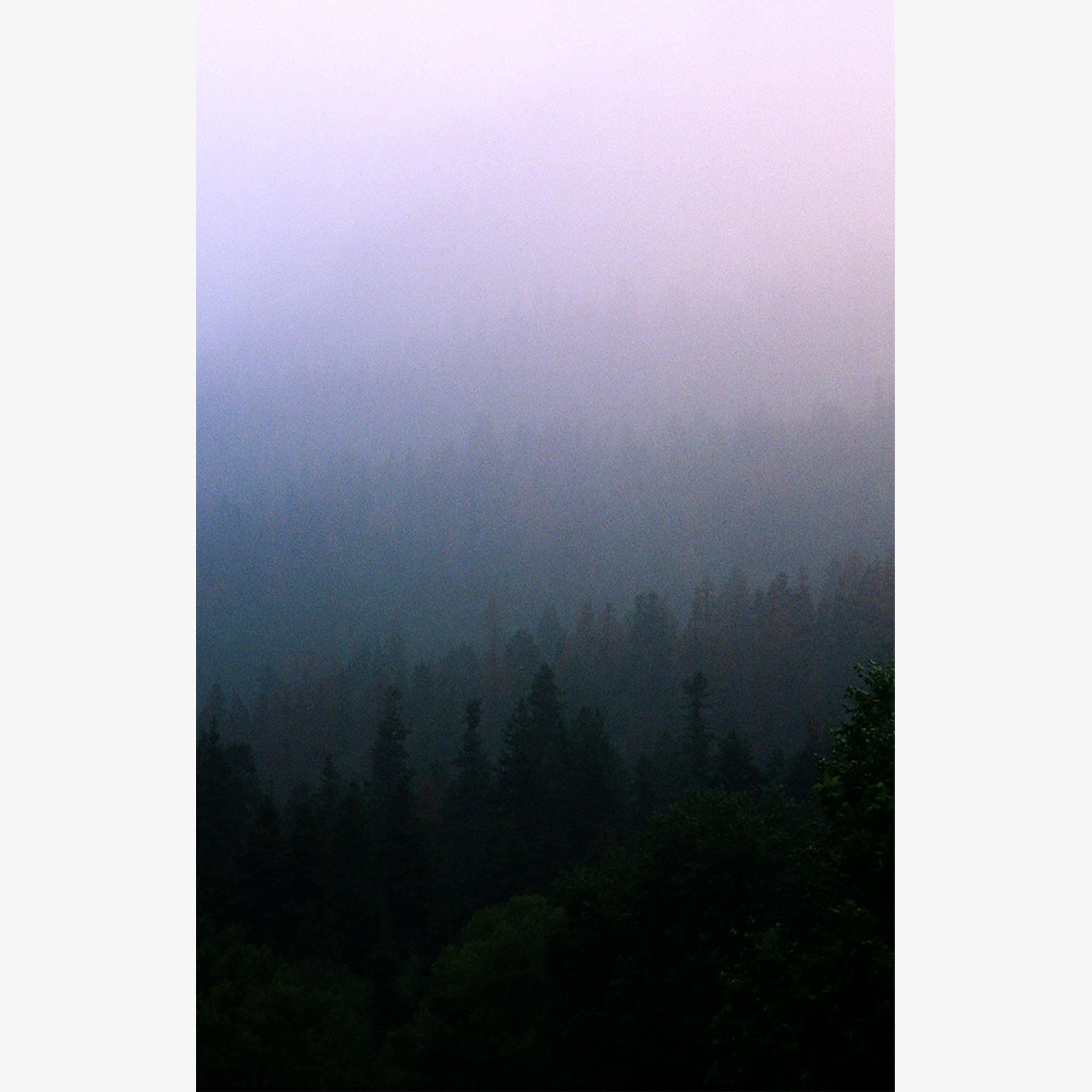 Photograph by Brian Merriam