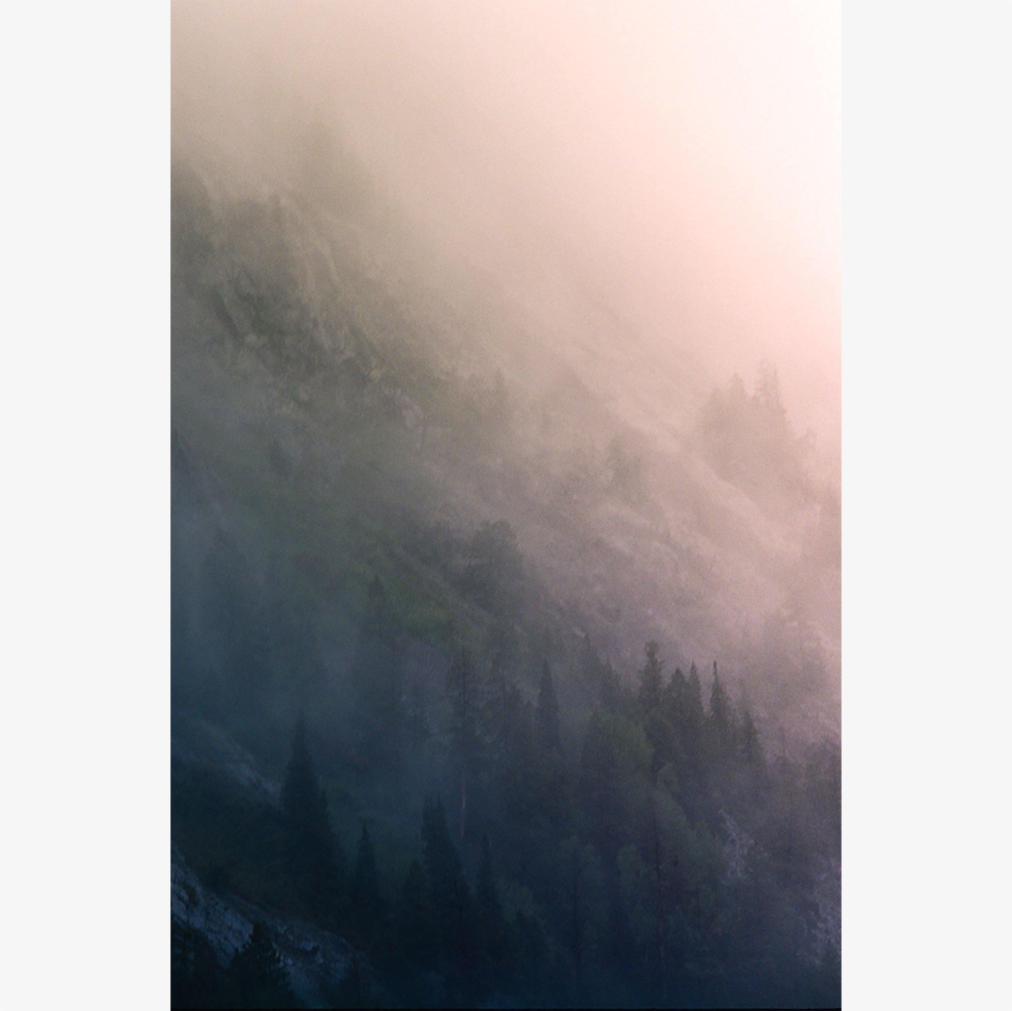 Photograph by Brian Merriam
