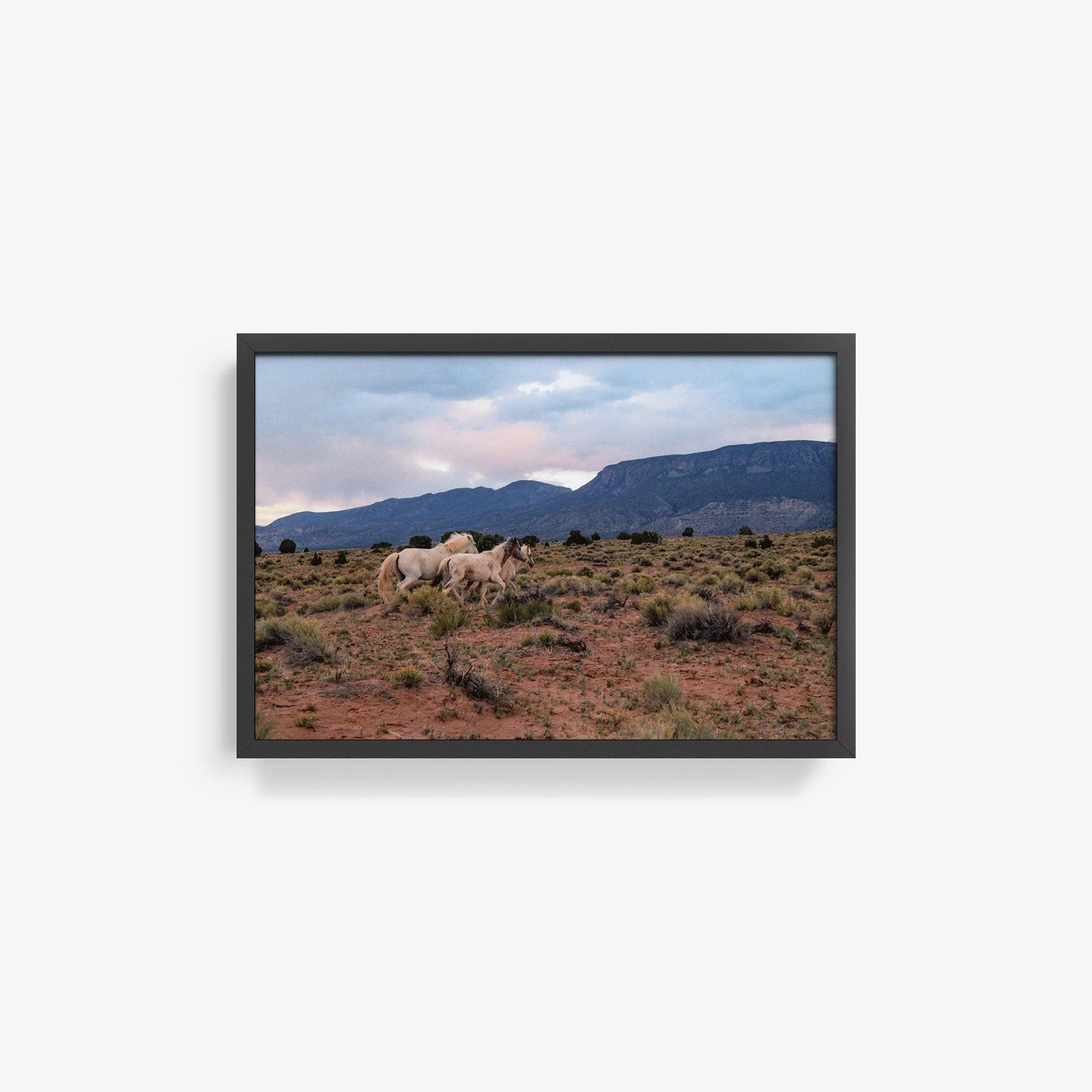 Photograph by Brian Merriam
