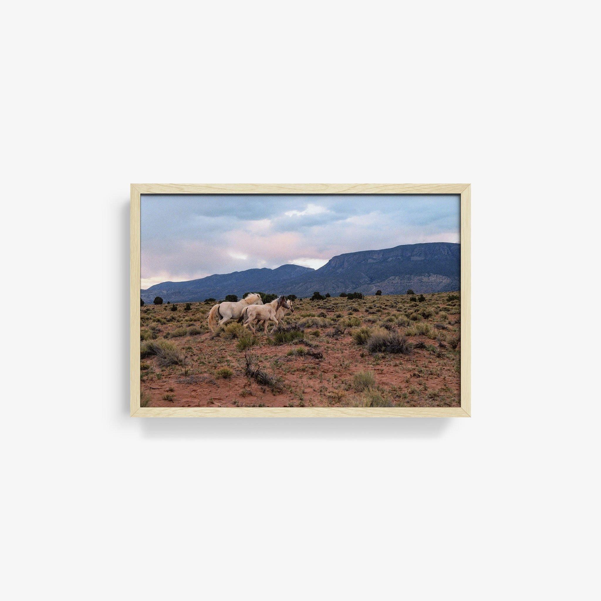 Photograph by Brian Merriam