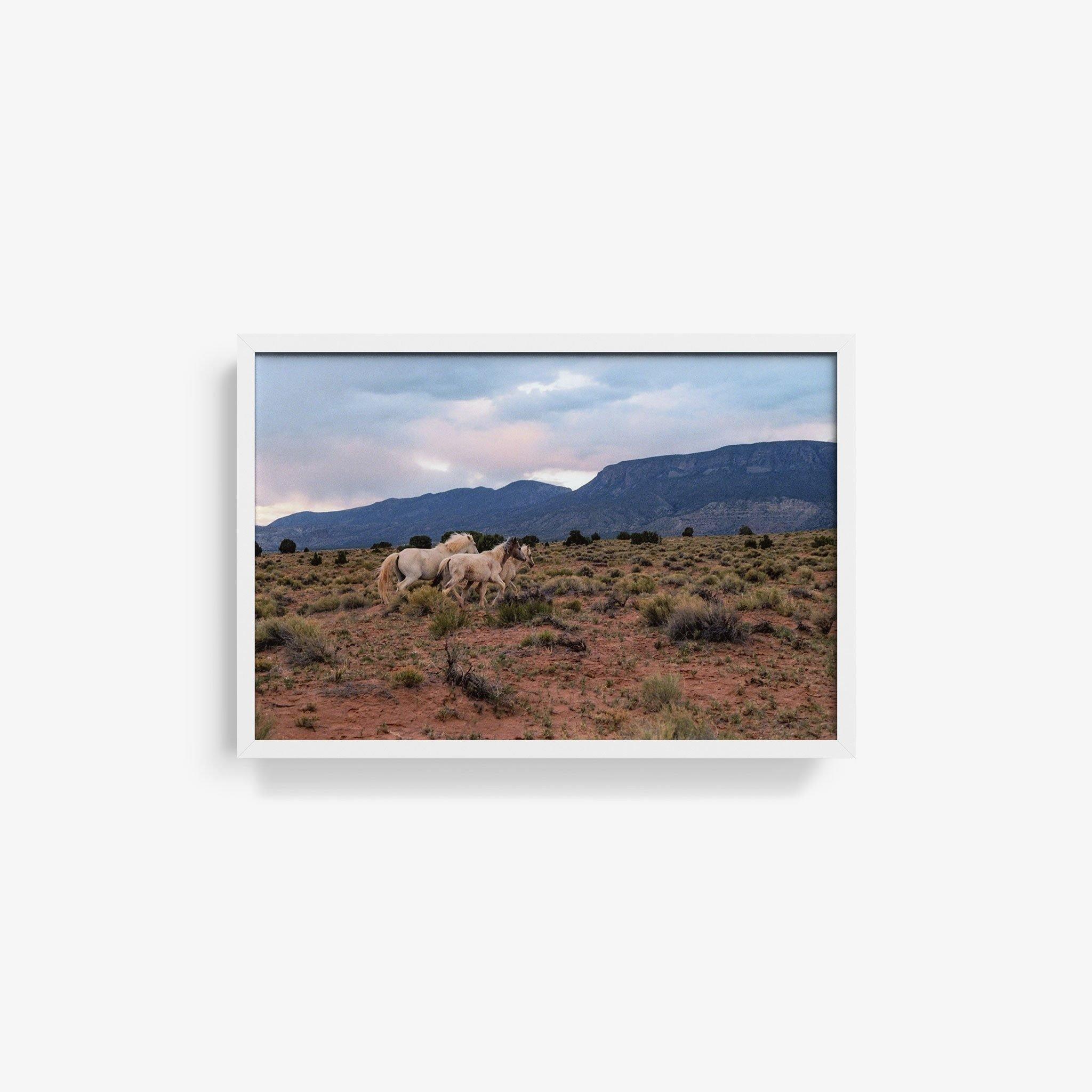 Photograph by Brian Merriam