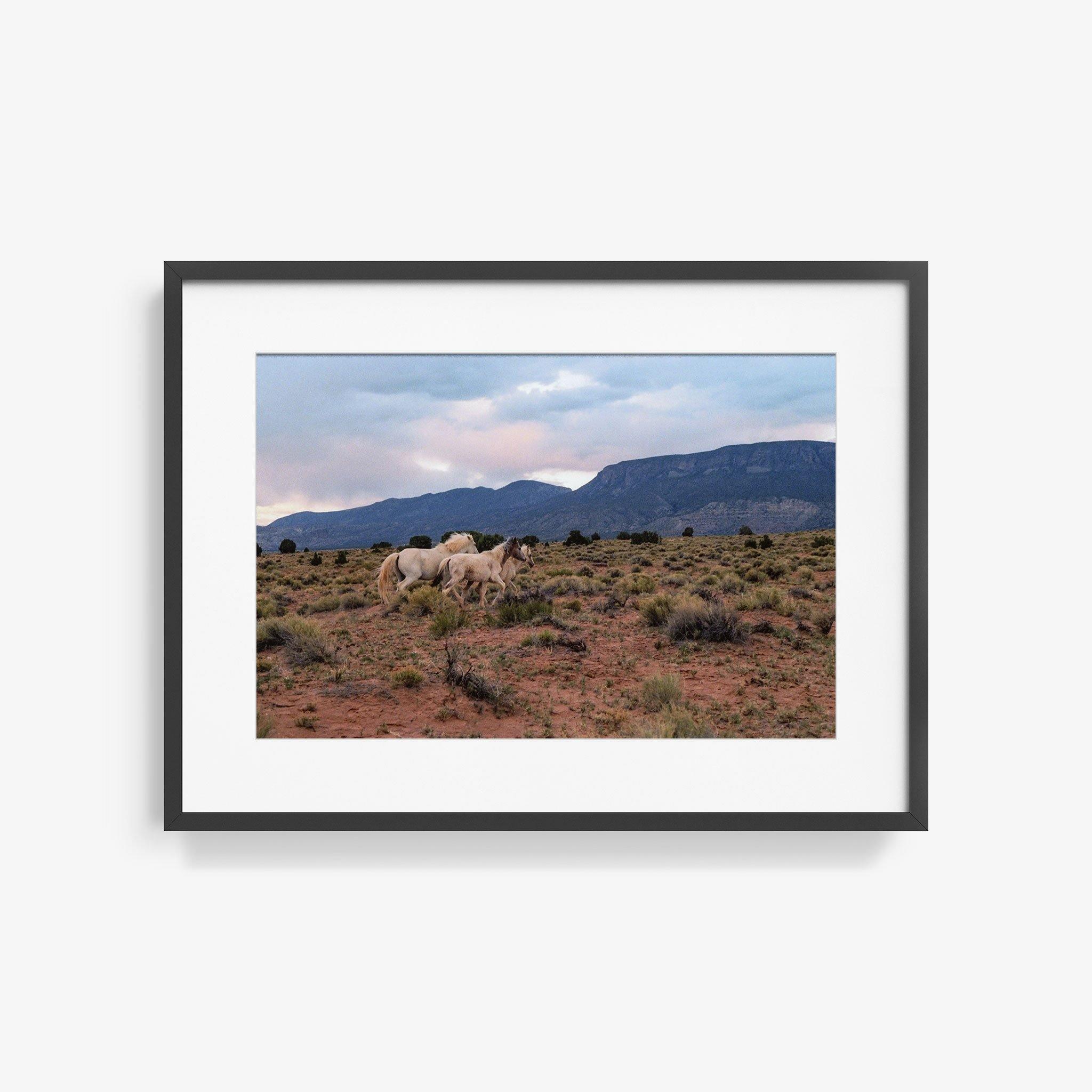 Photograph by Brian Merriam