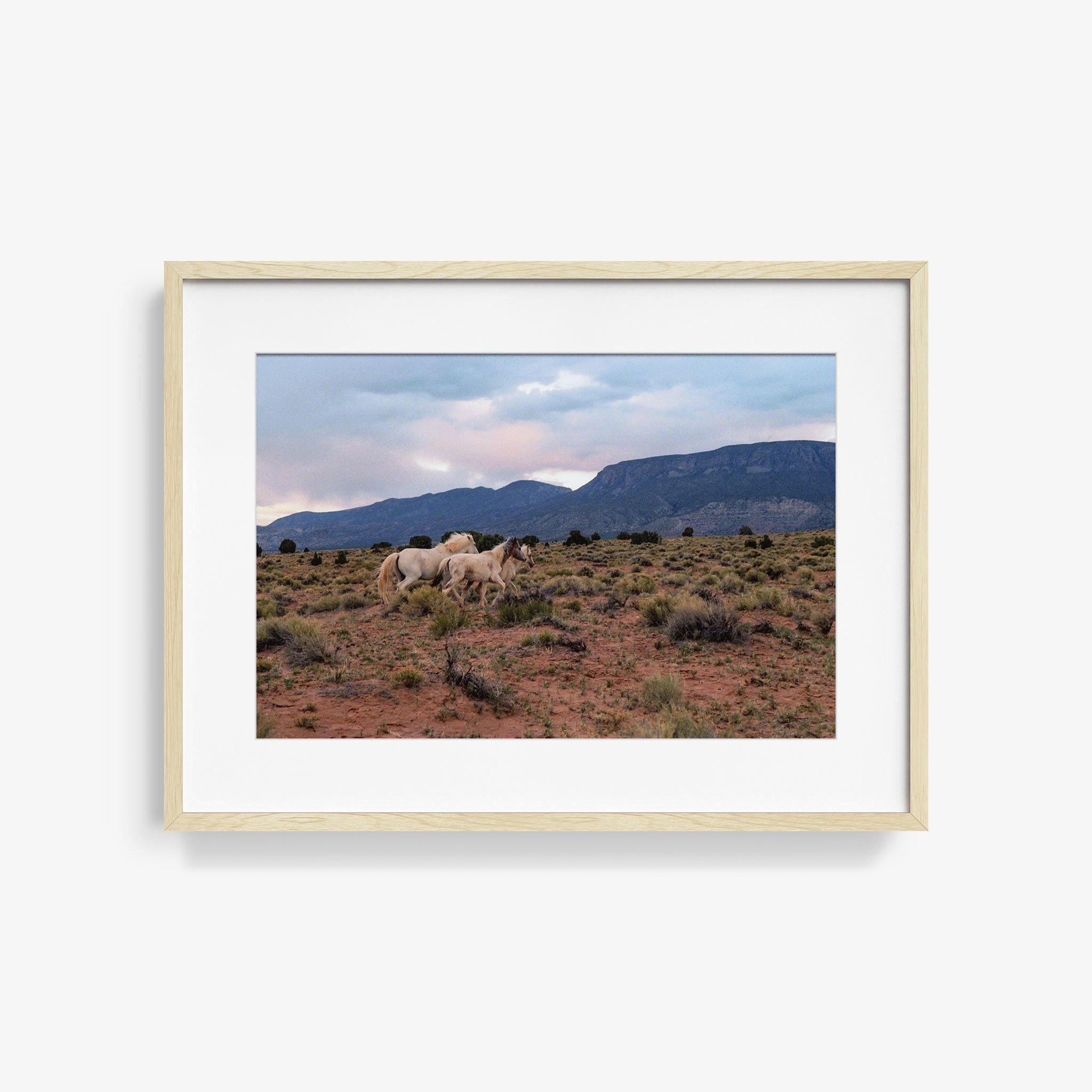 Photograph by Brian Merriam