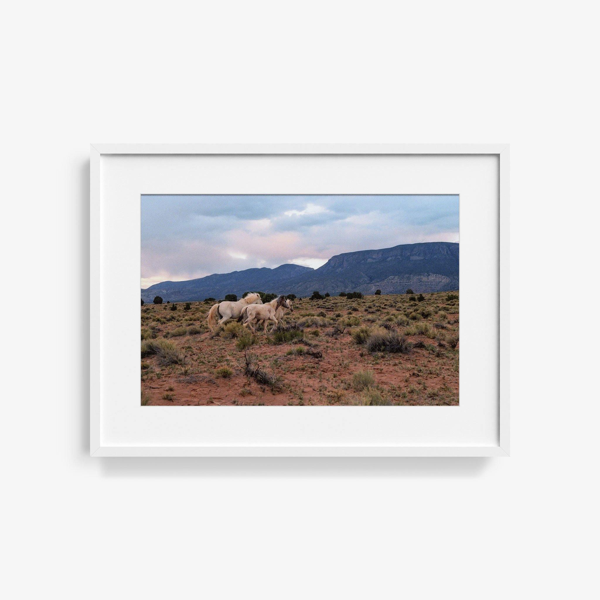 Photograph by Brian Merriam