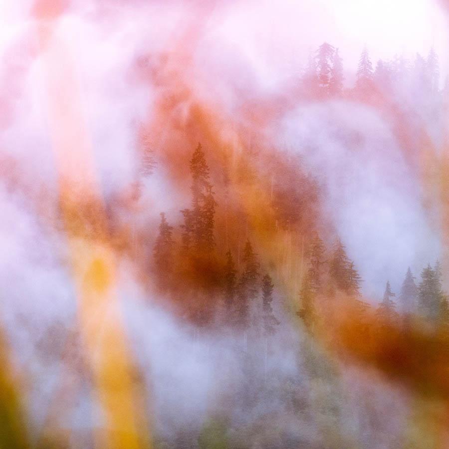 Photograph by Brian Merriam