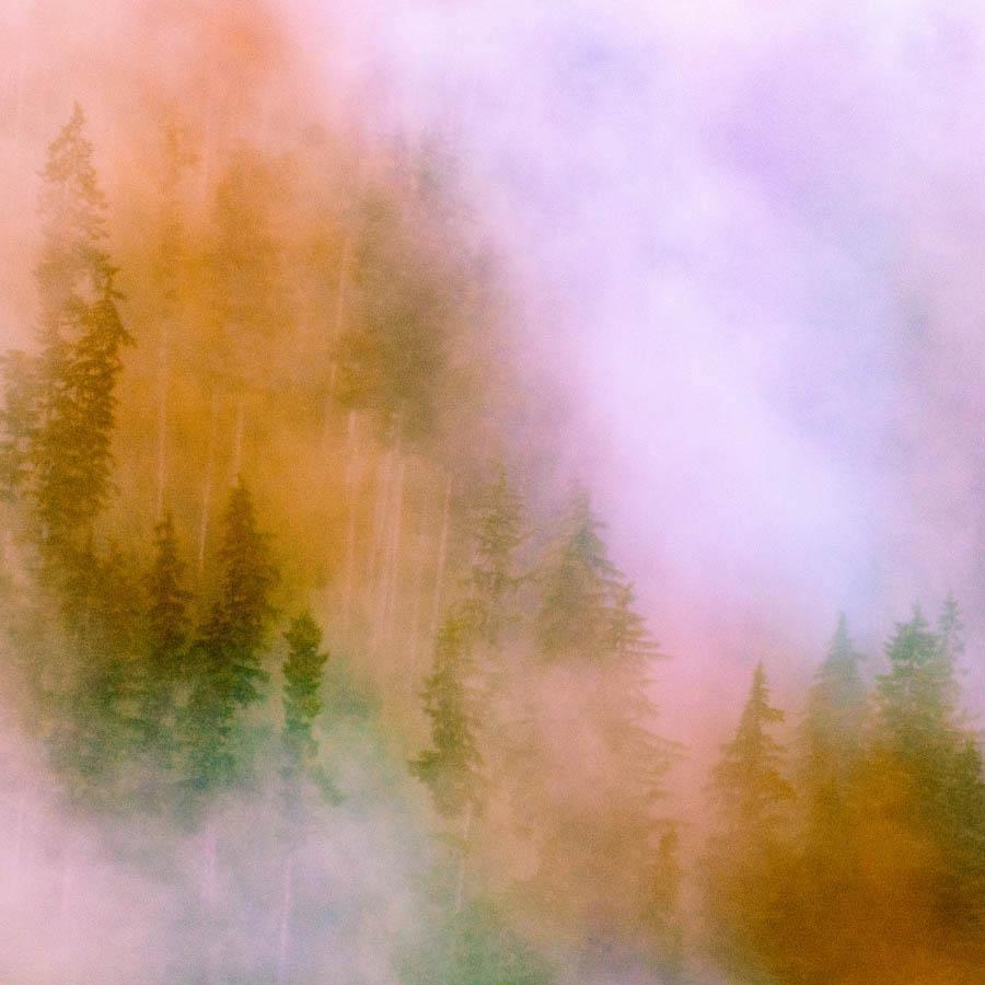 Photograph by Brian Merriam