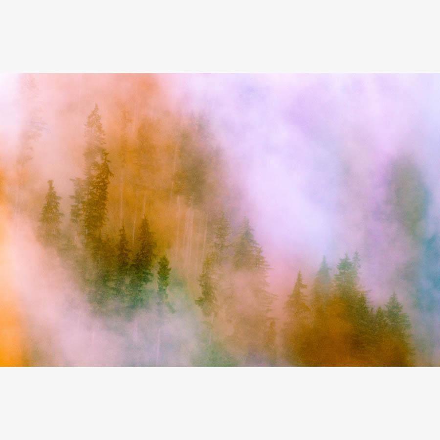 Photograph by Brian Merriam