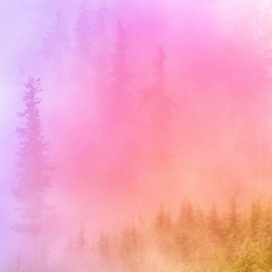 Photograph by Brian Merriam