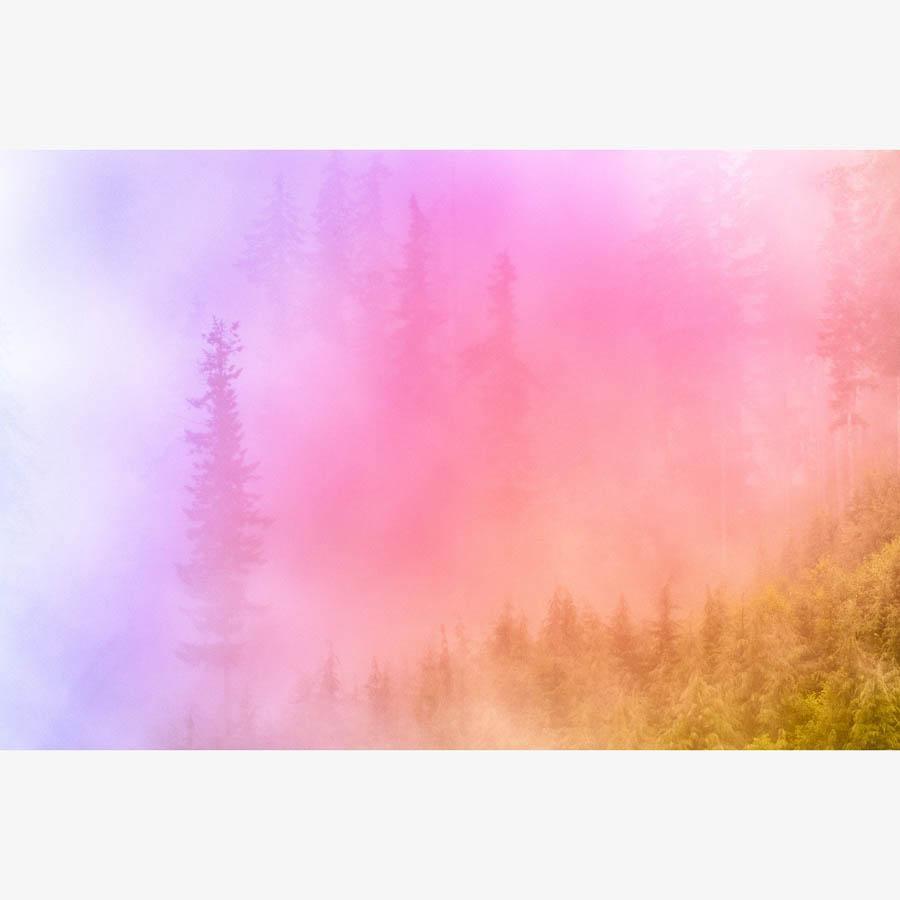 Photograph by Brian Merriam