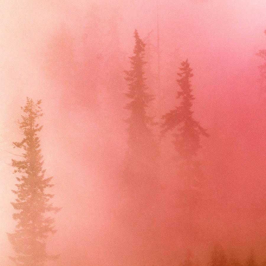 Photograph by Brian Merriam
