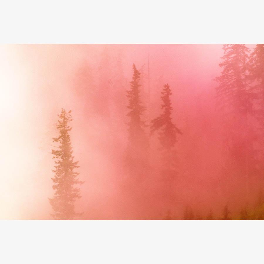 Photograph by Brian Merriam