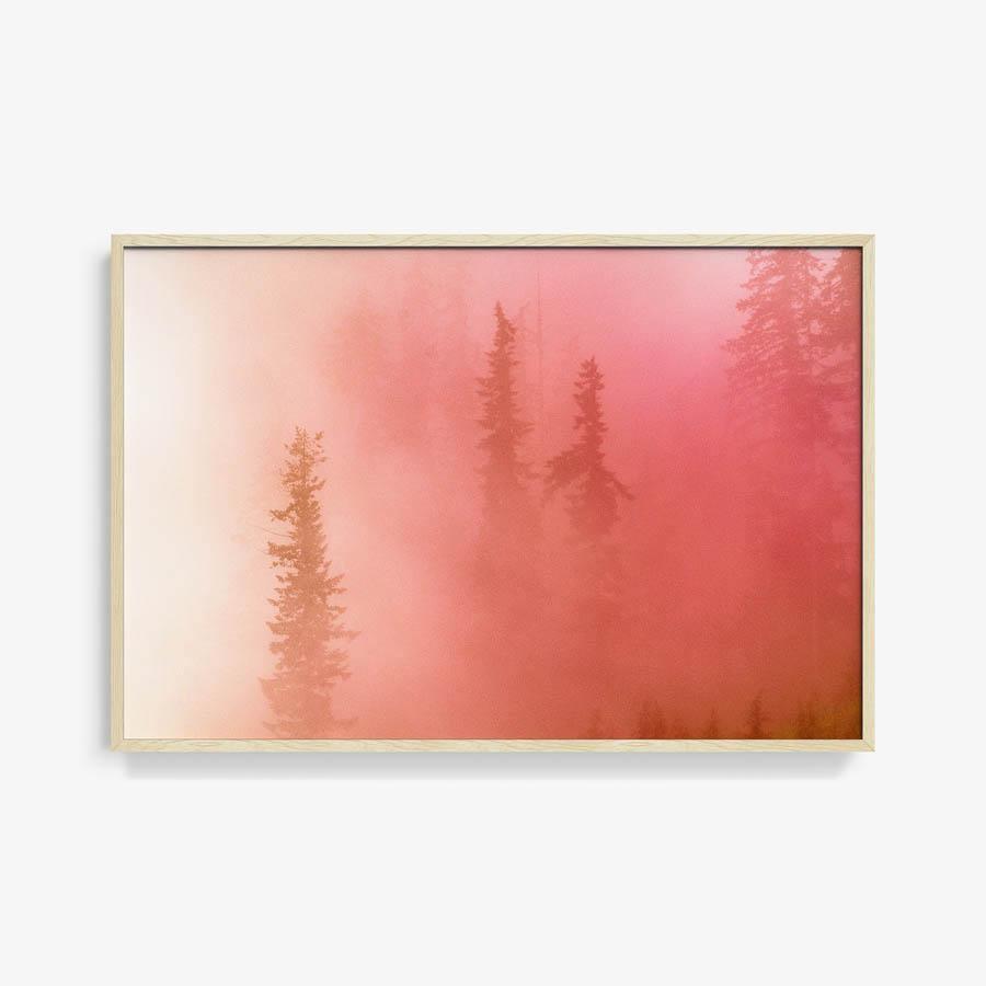 Photograph by Brian Merriam