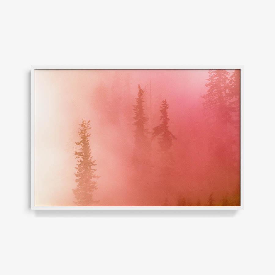 Photograph by Brian Merriam