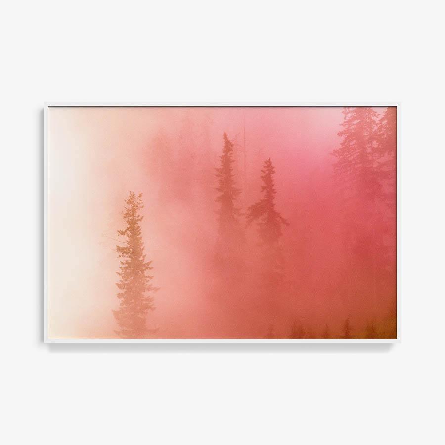 Photograph by Brian Merriam