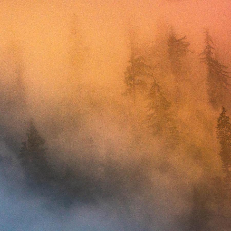 Photograph by Brian Merriam