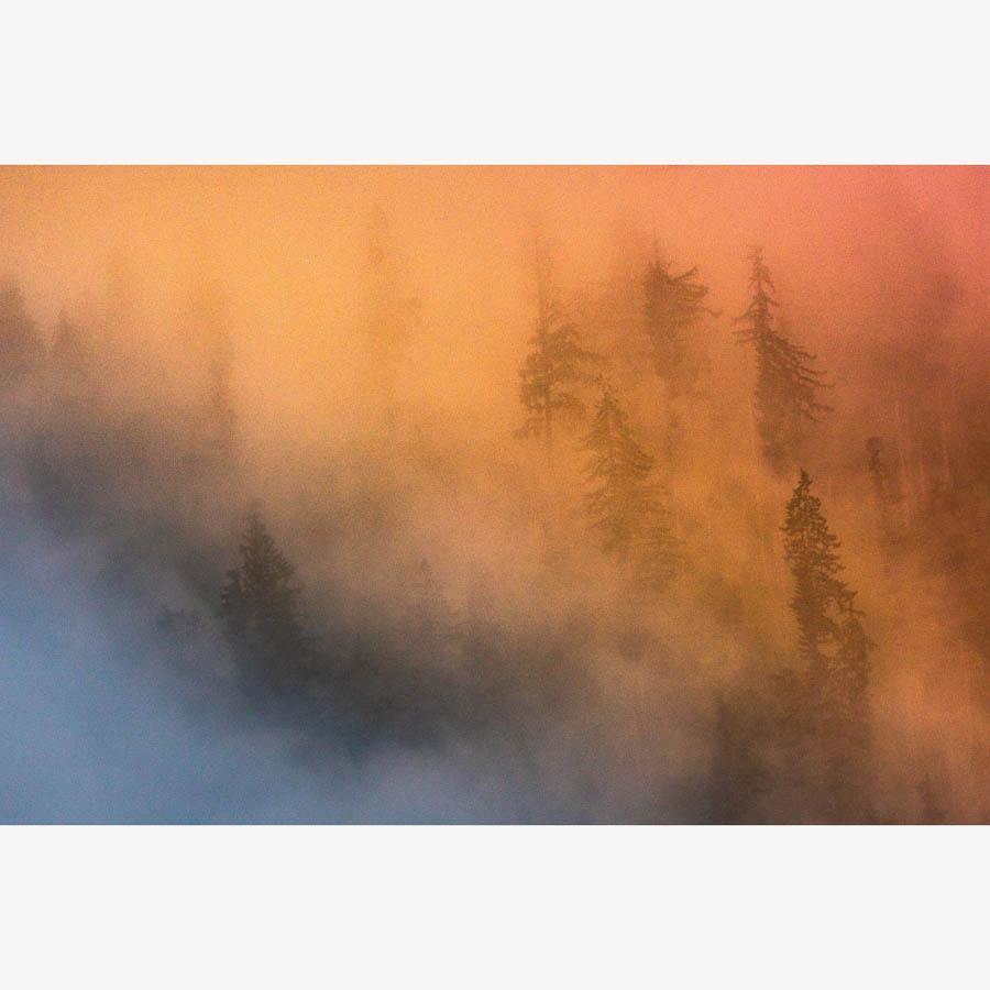 Photograph by Brian Merriam
