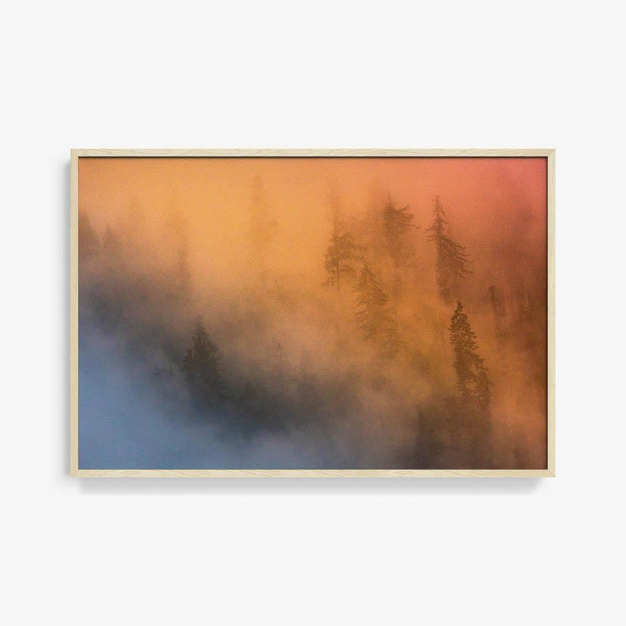 Photograph by Brian Merriam