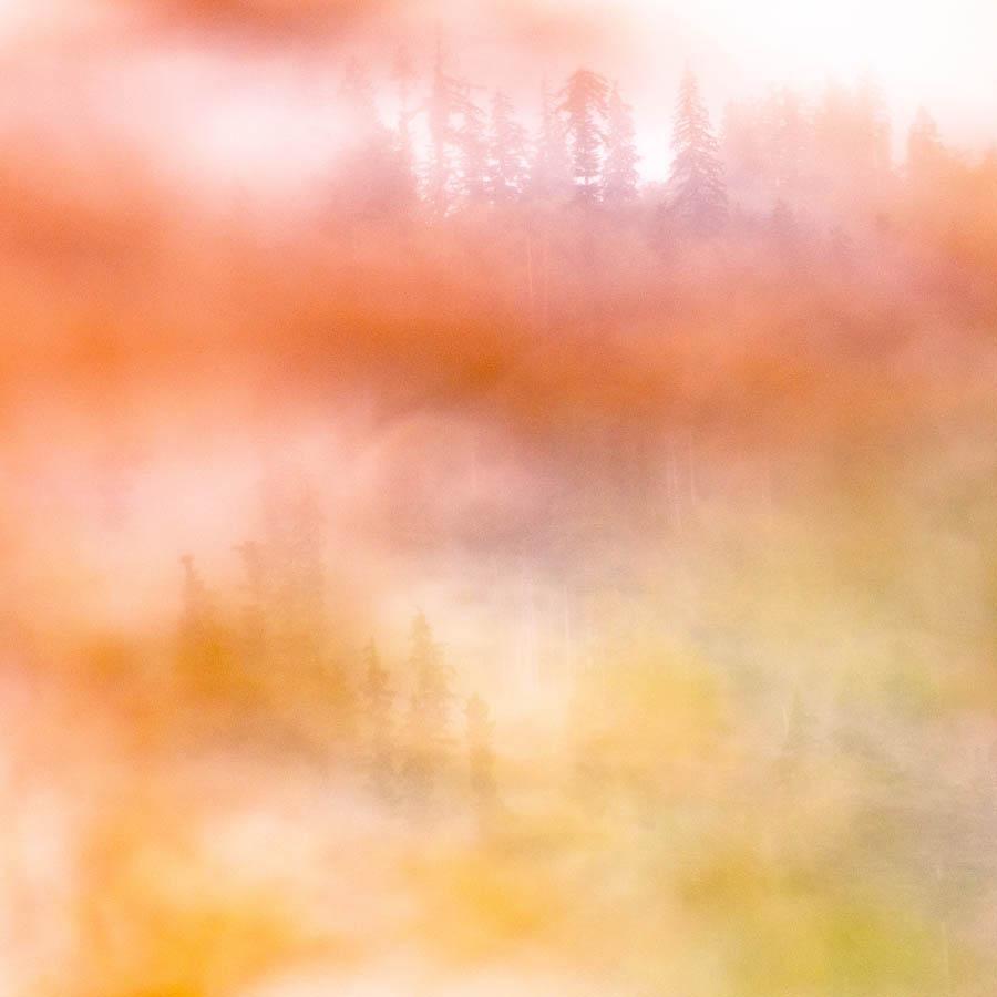Photograph by Brian Merriam