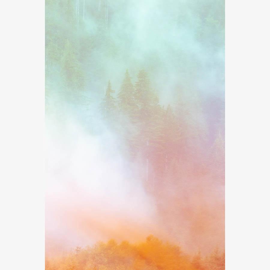 Photograph by Brian Merriam