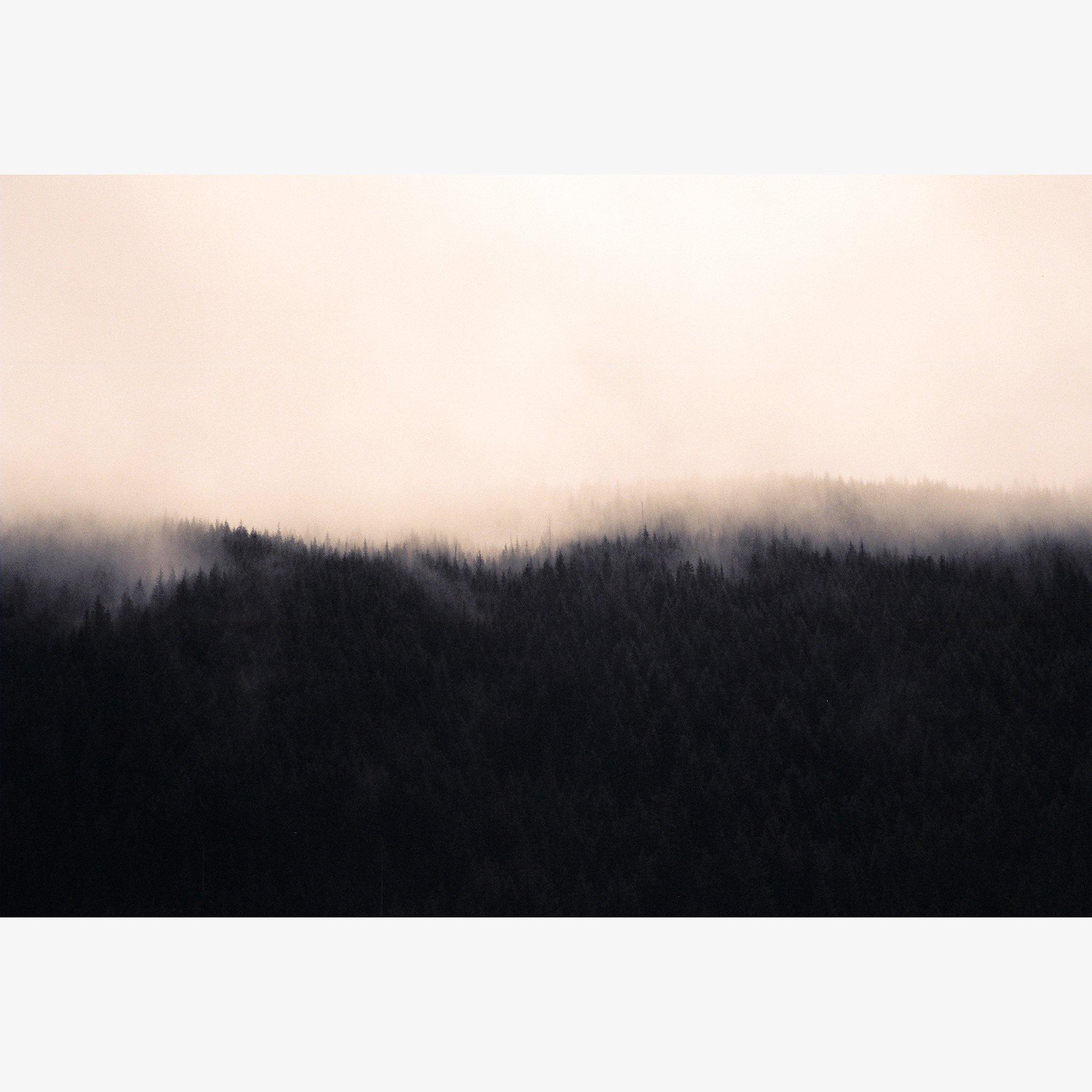Mist 25, Photography  by  Mist 25 Tappan