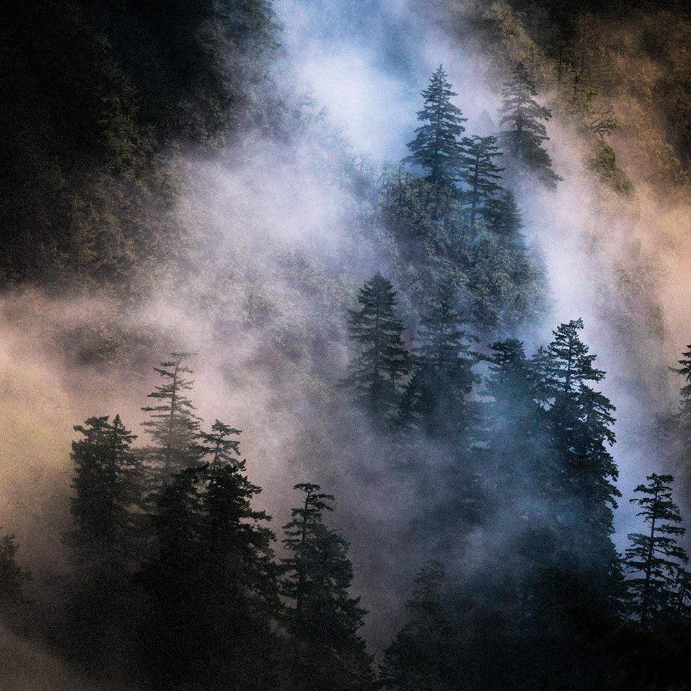 Photograph by Brian Merriam