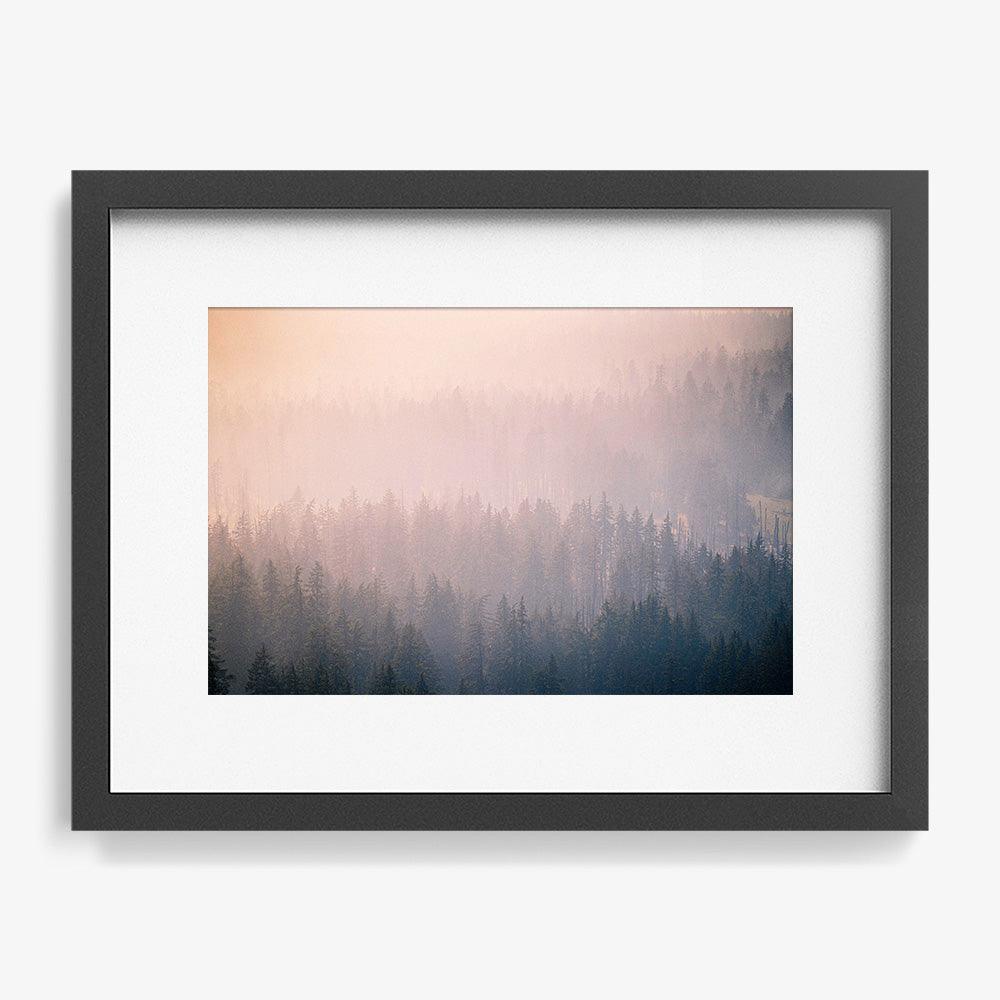 Mist Twenty-Six