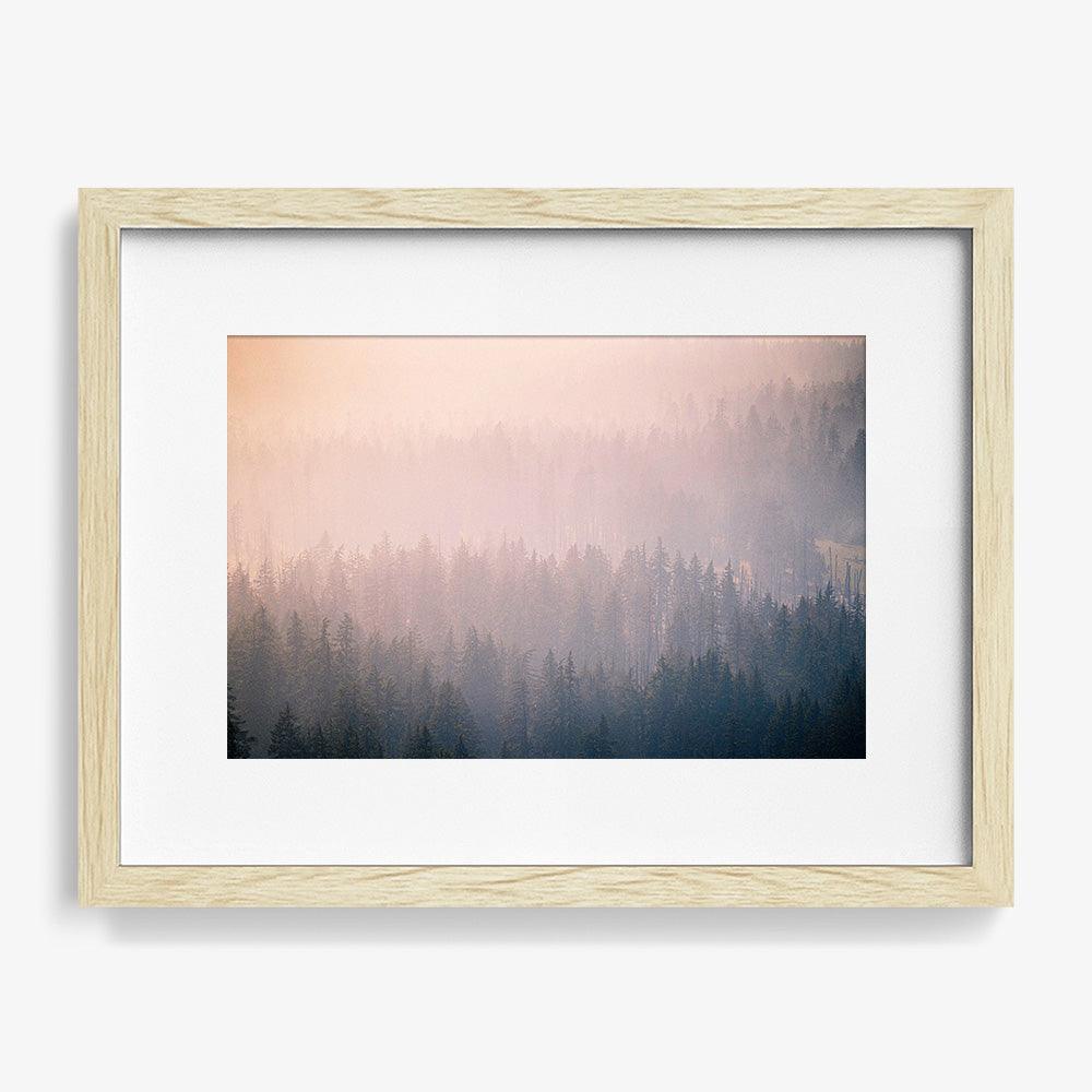 Mist Twenty-Six