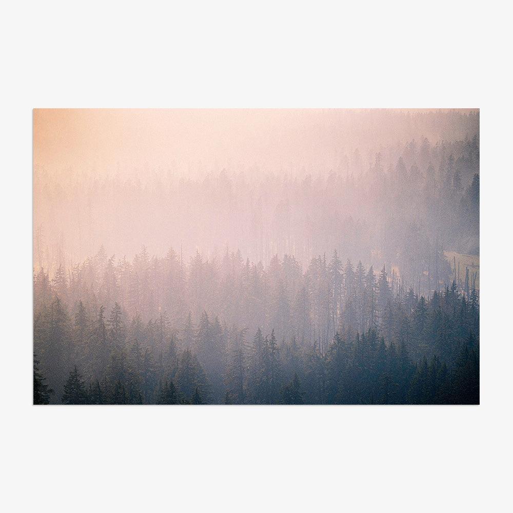 Mist Twenty-Six