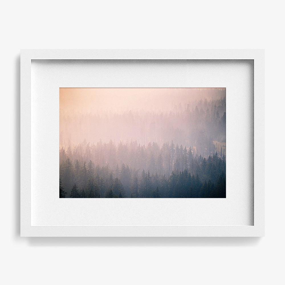 Mist Twenty-Six