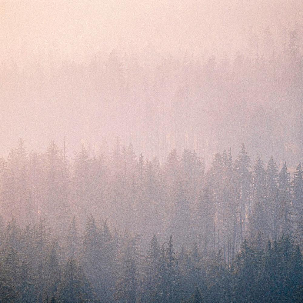 Mist Twenty-Six
