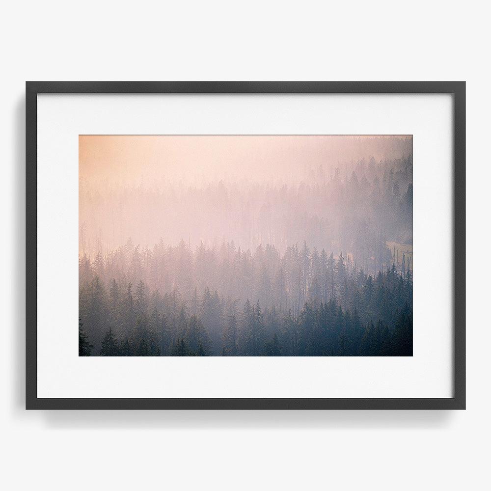 Mist Twenty-Six