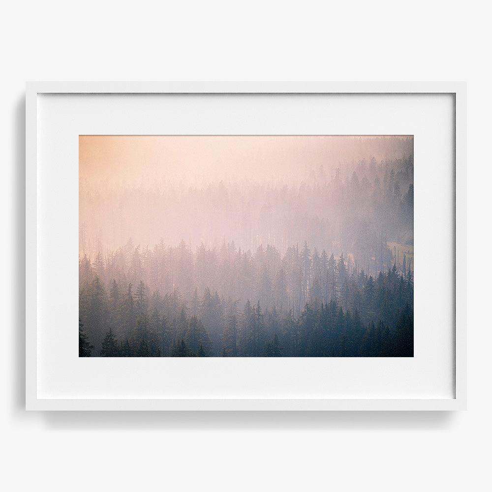 Mist Twenty-Six