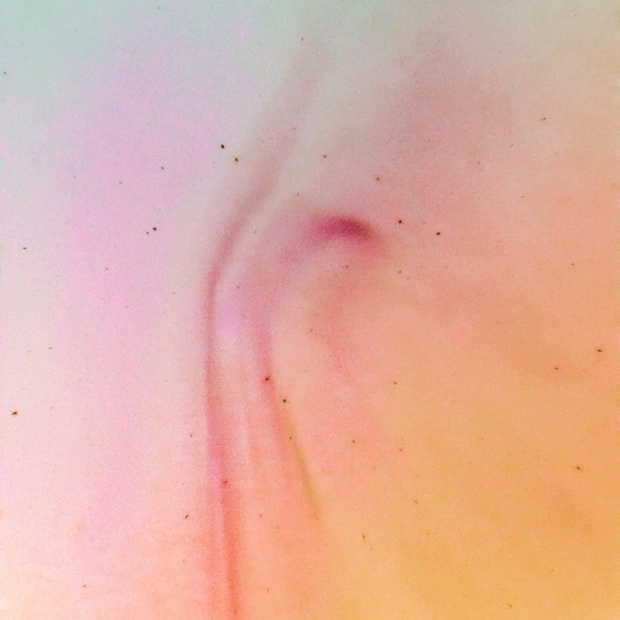 Reverse Plasma Formation 7, Photography  by  Reverse Plasma Formation 7 Tappan