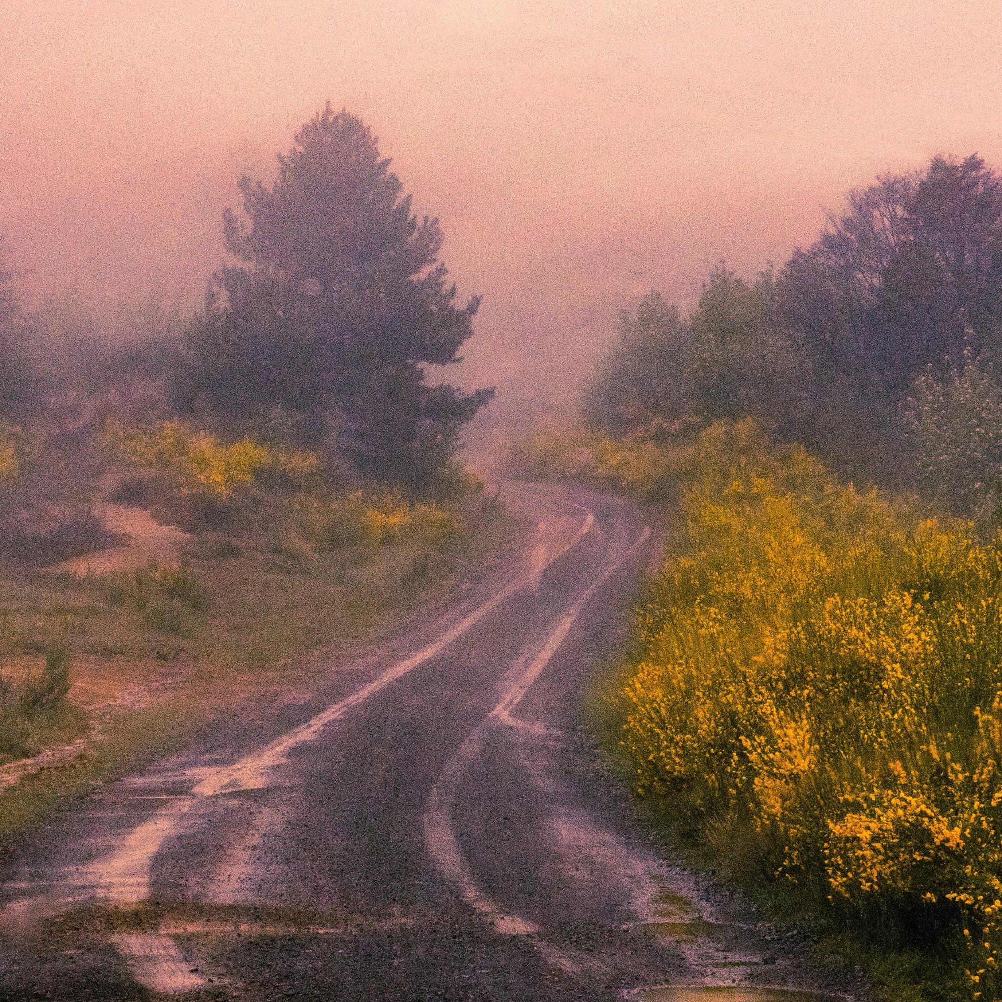 Photograph by Brian Merriam