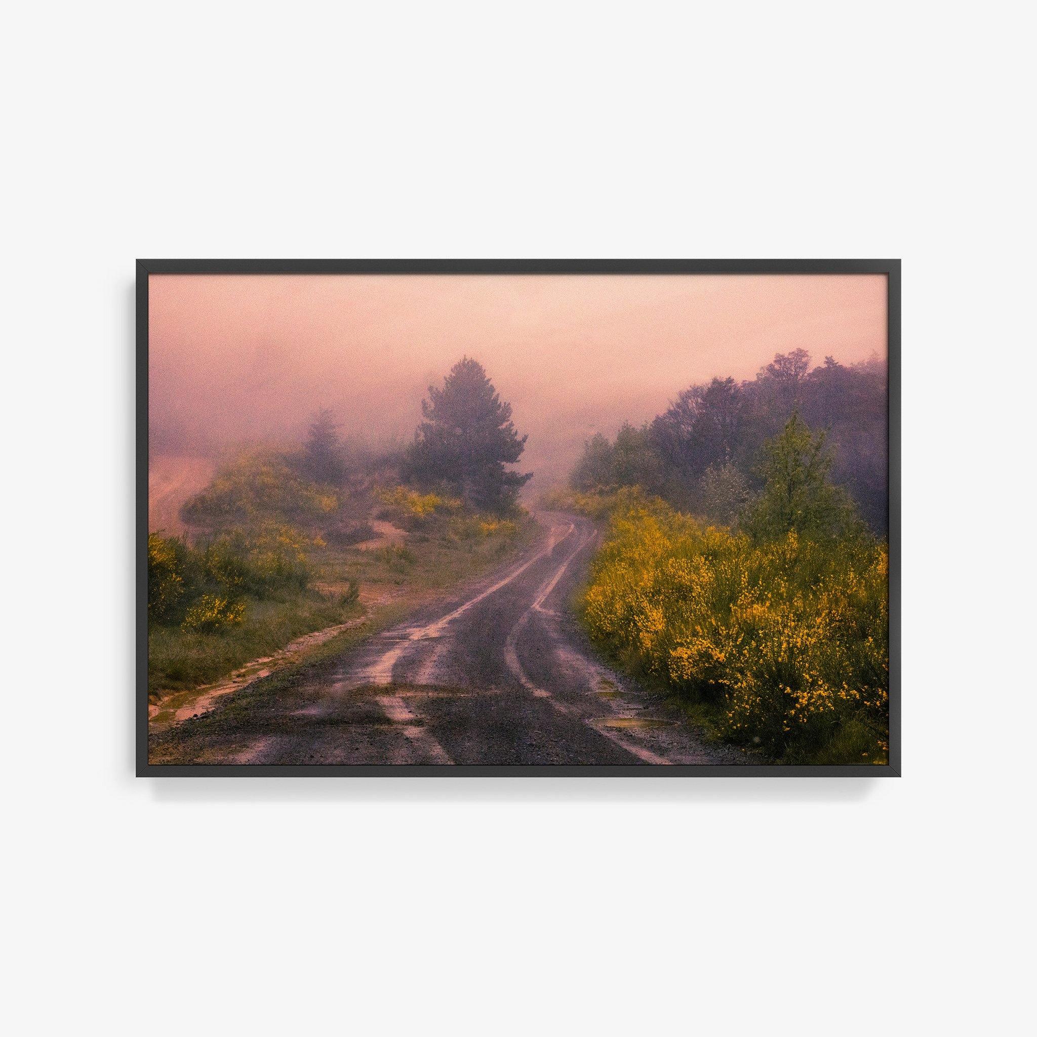 Photograph by Brian Merriam