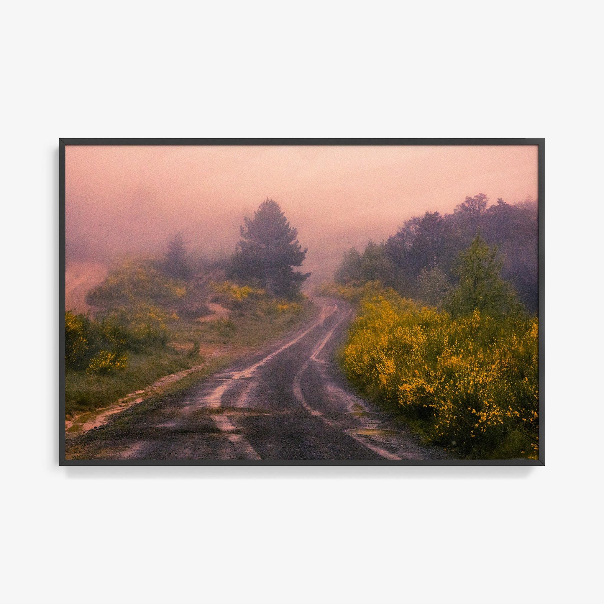 Photograph by Brian Merriam