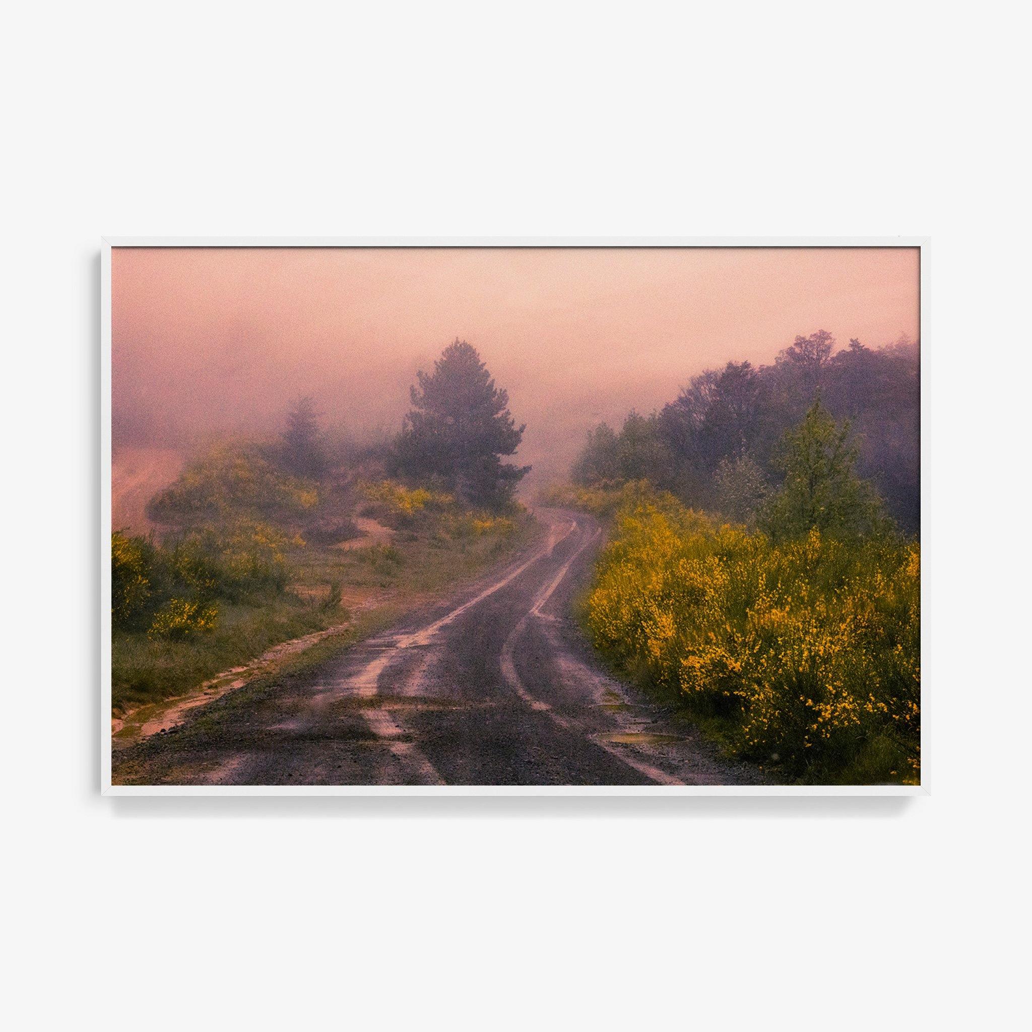 Photograph by Brian Merriam